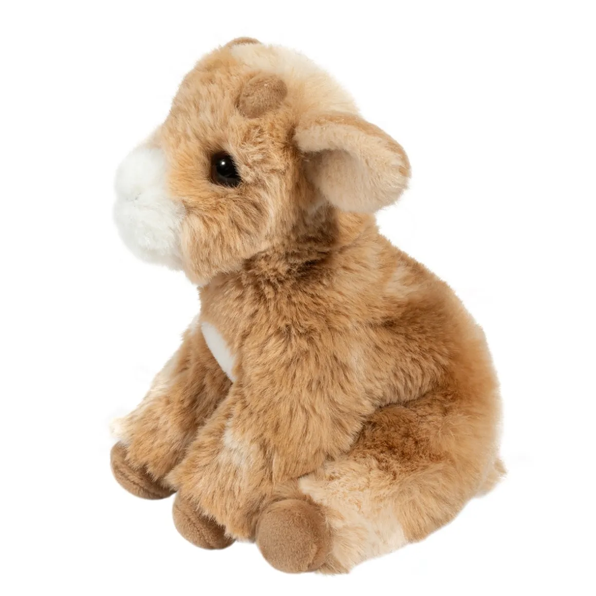 Mini Dandie Soft Goat