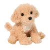Noodle Golden Doodle