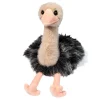 Omar Ostrich