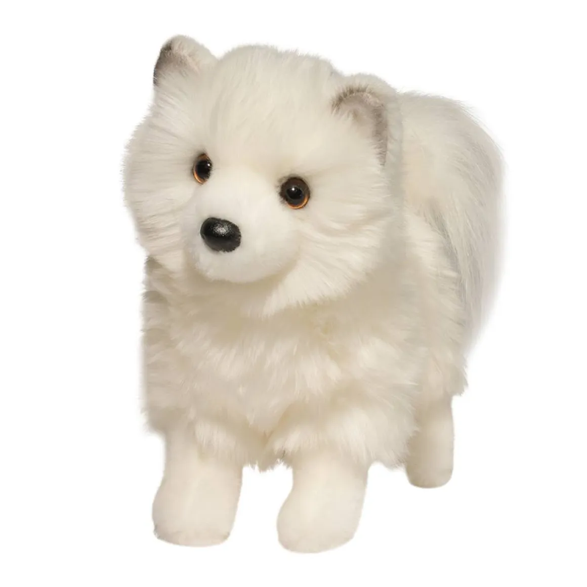 Phoebe Pomsky