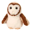 Rafter Barn Owl