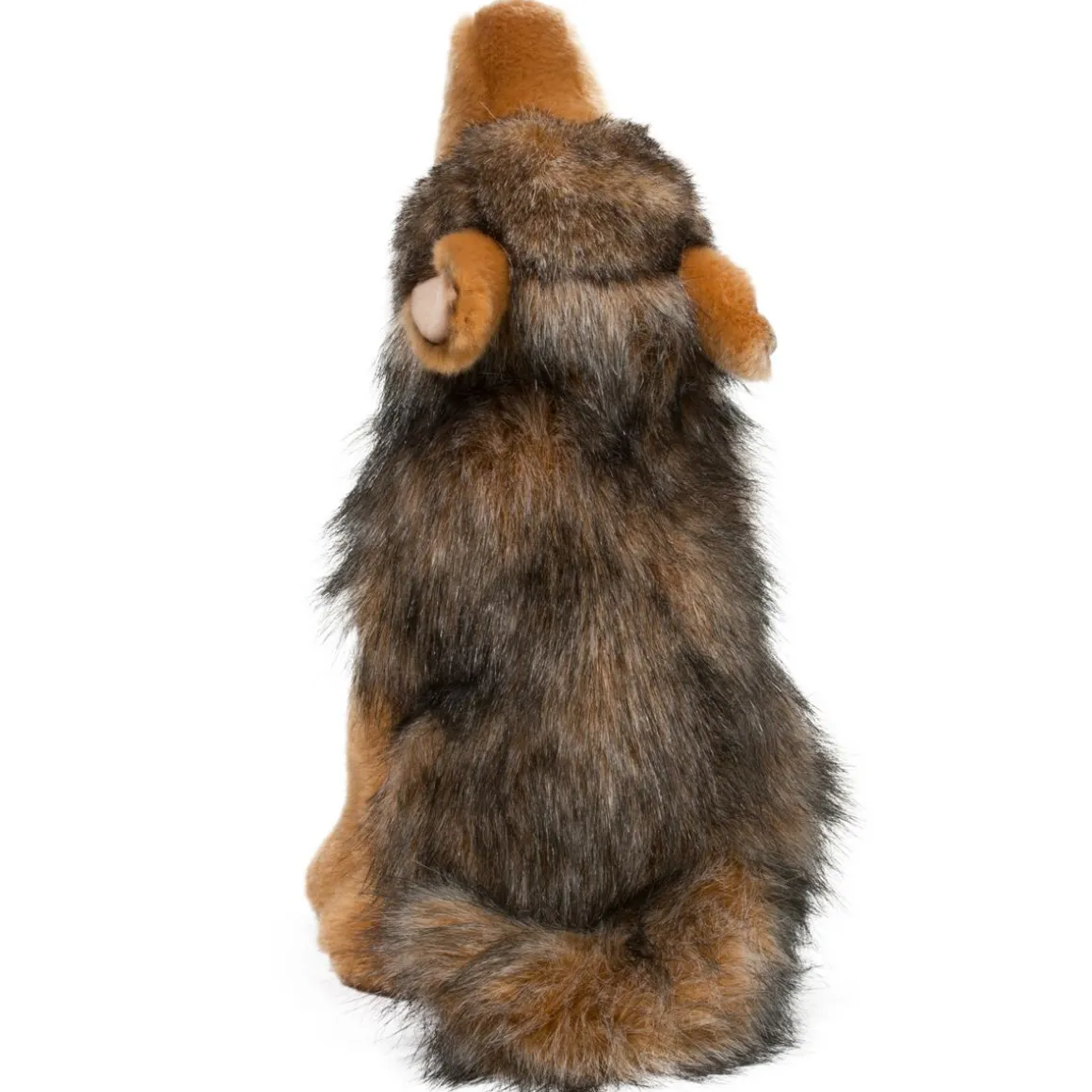 Rambler Coyote