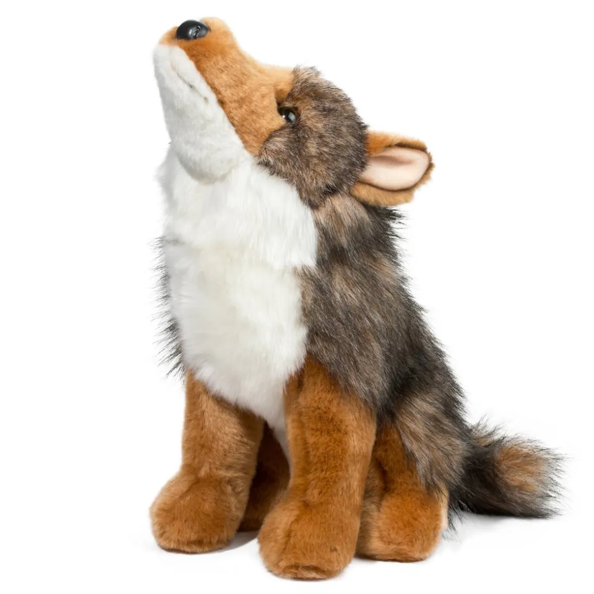 Rambler Coyote
