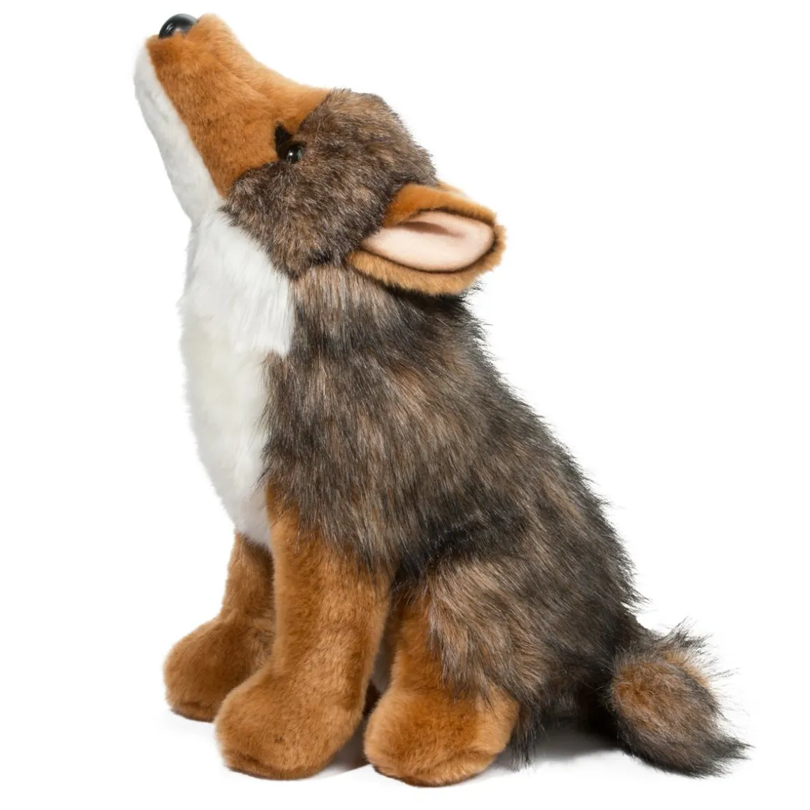 Rambler Coyote