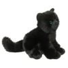 Salem Black Cat