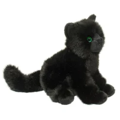 Salem Black Cat