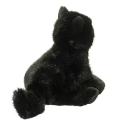 Salem Black Cat