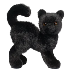 Scaredy Black Cat