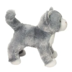 Scatter Gray Cat