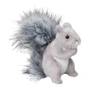 Shasta Gray Squirrel
