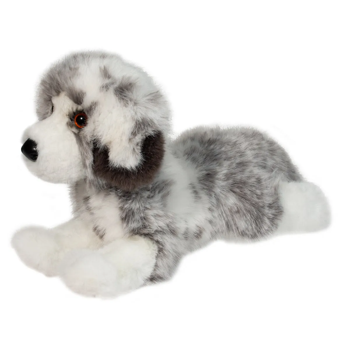 Skylar Australian Shepherd