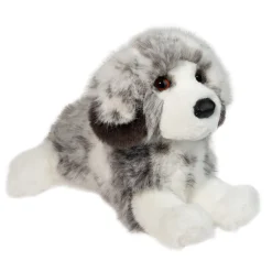 Skylar Australian Shepherd