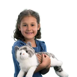 Smokey Gray Cat