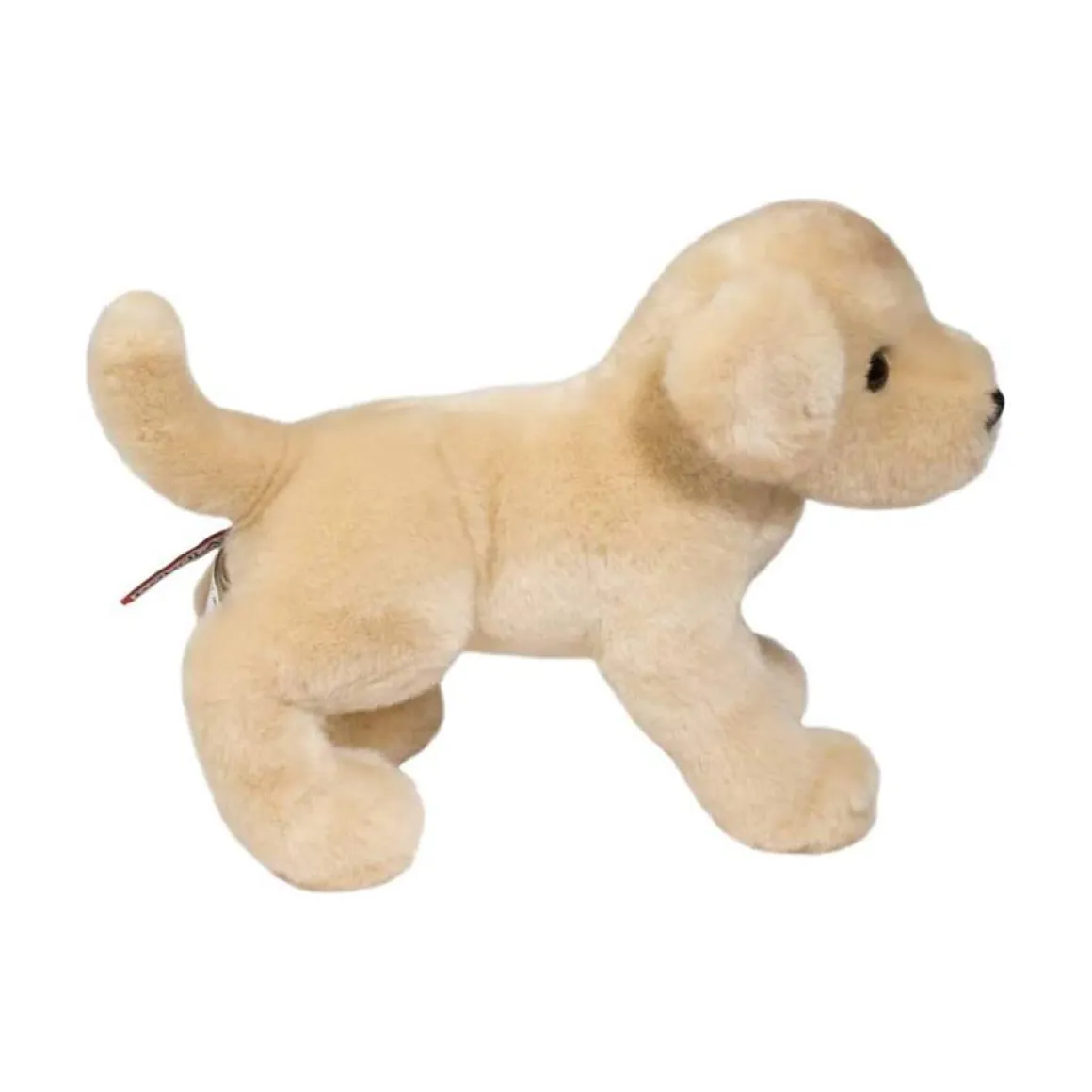 Spankie Yellow Lab