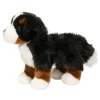 Stevie Bernese Mountain Dog