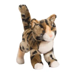Tashette Bengal Cat