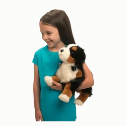 Trevor Bernese Mountain Dog