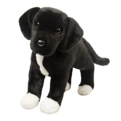 Twister Black Lab/Pit Bull Mix