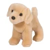 Zach Yellow Lab
