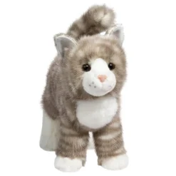 Zipper Gray Tabby Cat