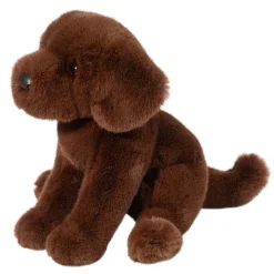 Zoom Chocolate Lab