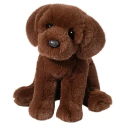 Zoom Chocolate Lab