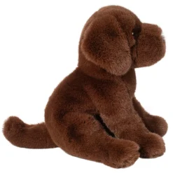 Zoom Chocolate Lab