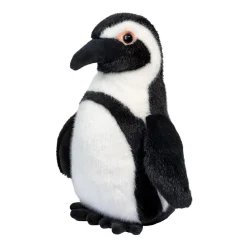 Zuri African Penguin